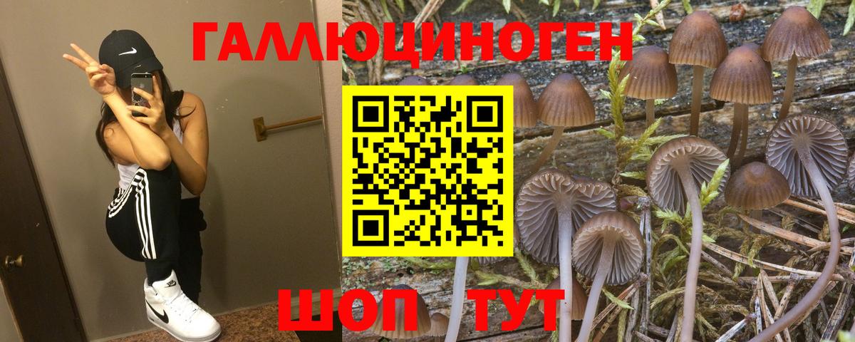Галлюциногенные грибы мицелий  Вход с VPN  купить наркотик  Галлюциногенные грибы GOLDEN TEACHER  Раменское 